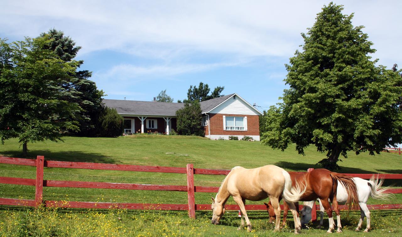 Bed and Breakfast Ranch St-Hubert Saint-Hermenegilde Екстер'єр фото